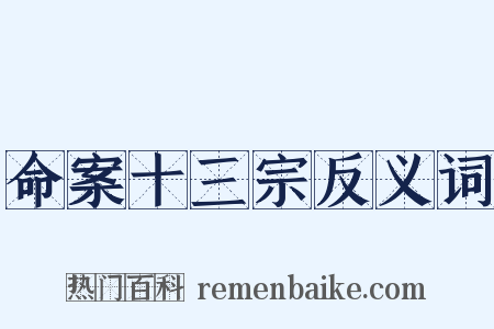 命案十三宗反义词是什么意思的图片